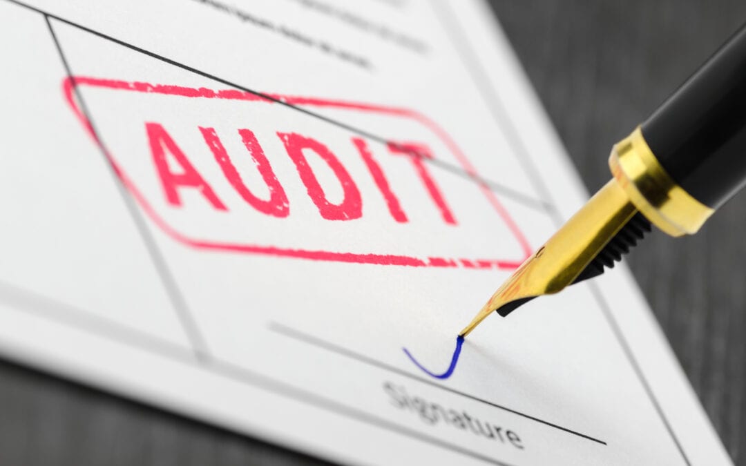 Why would any business volunteer for an HR Audit?